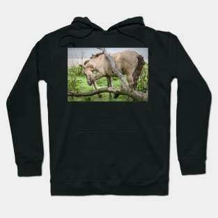 Itch Hoodie